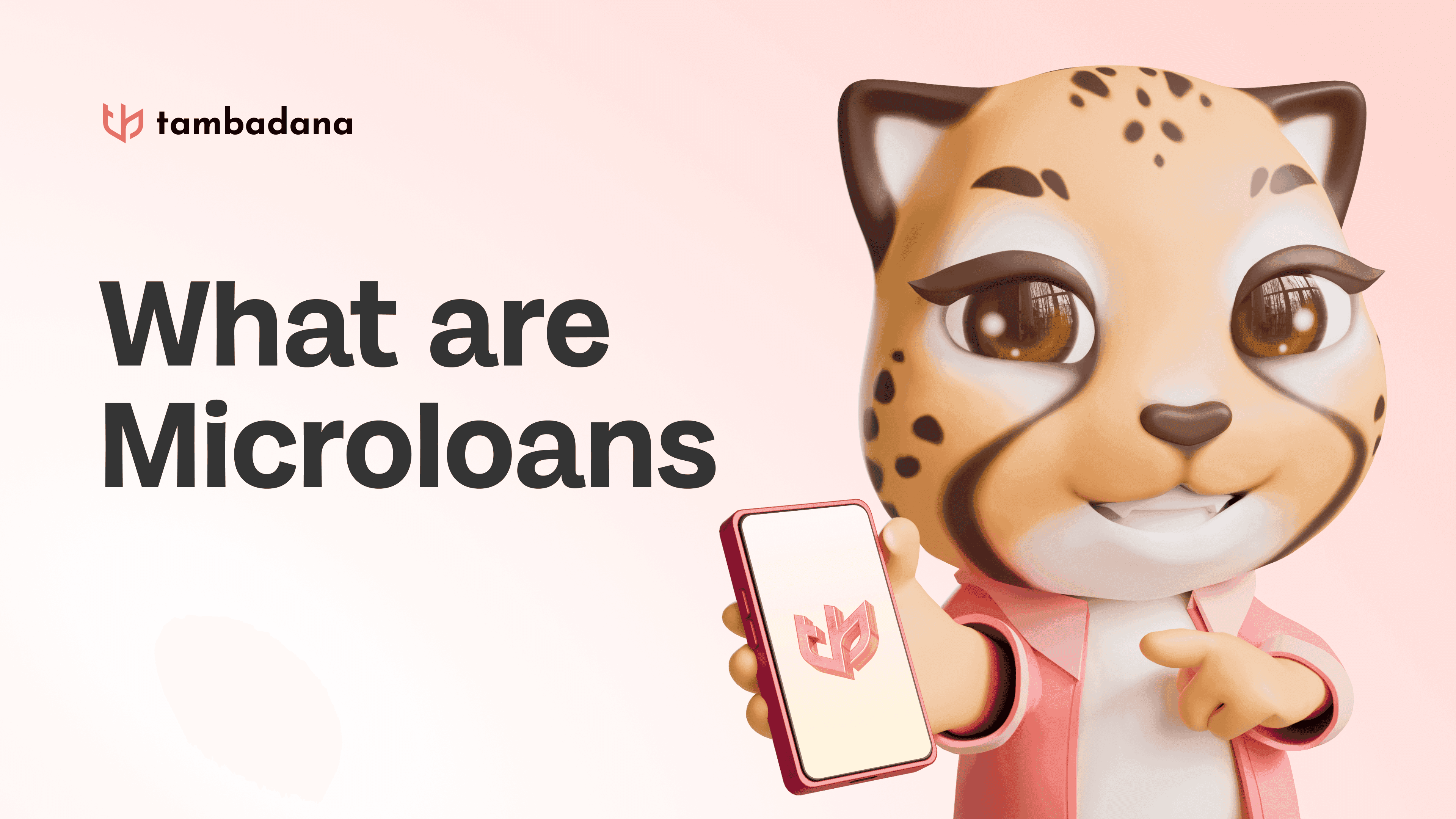 Microloans in Malaysia